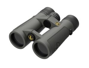 LEUPOLD BINOCULAR BX5 SANTIAM 10X42 SG