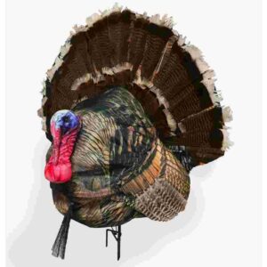 Montana Decoy Co. Wiley Tom 3D Decoy Full Strutting